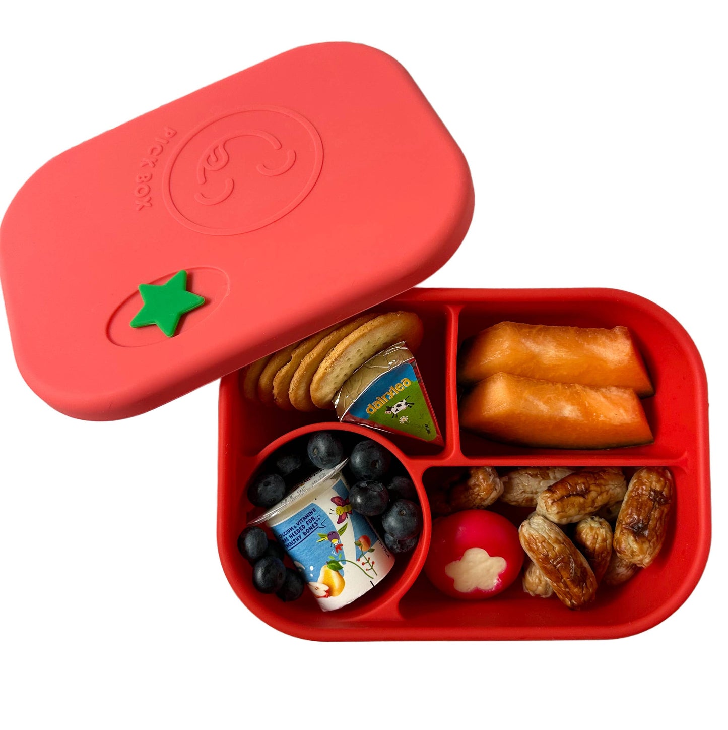 Travel Bento Box