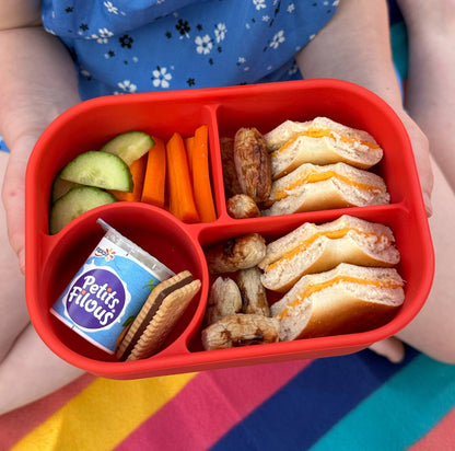 Travel Bento Box