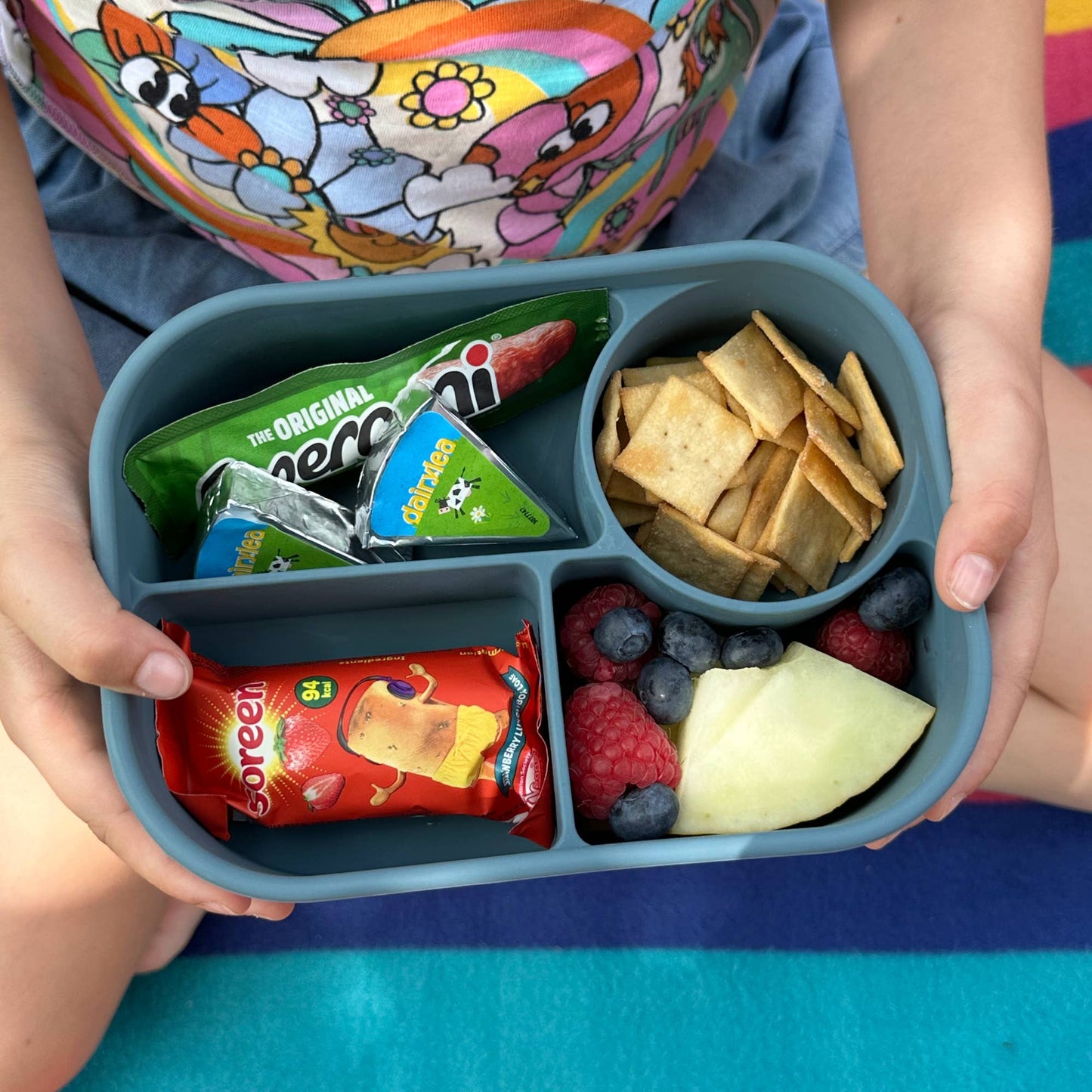 Travel Bento Box