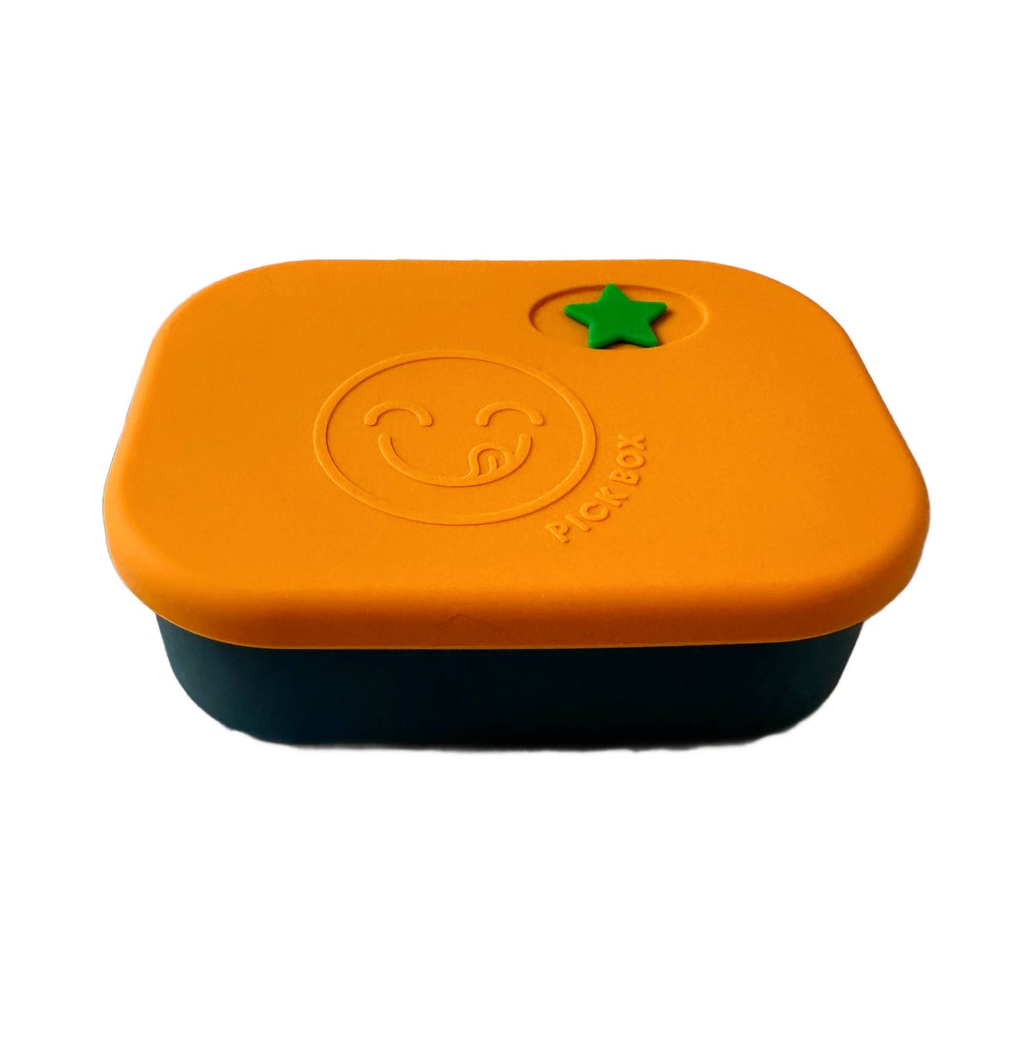 Travel Bento Box