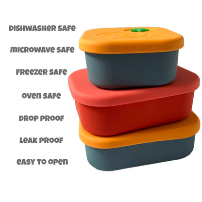 Travel Bento Box